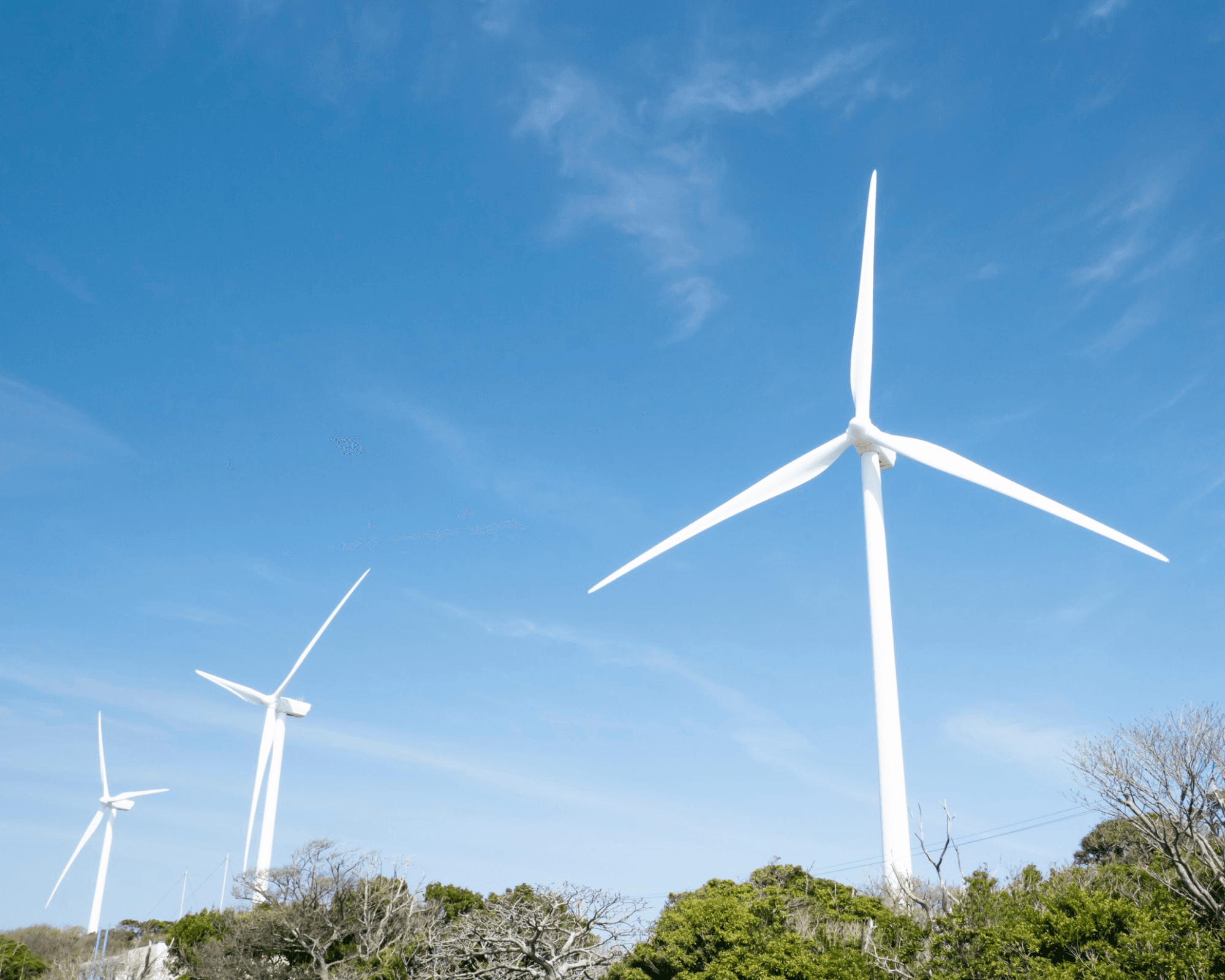 Archimedes Wind Turbines - From KES 1,000